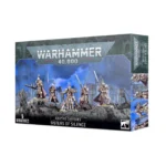 warhammer 40k adeptus custodes sisters of silence