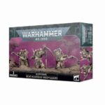 warhammer 40k death guard deathshroud bodyguard